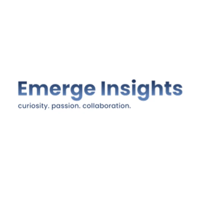 The final Emerge Insights wordmark on white