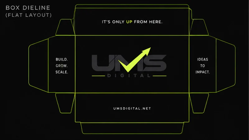 Flat dieline layout of the UMS Digital card box